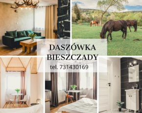 Daszówka Bieszczady